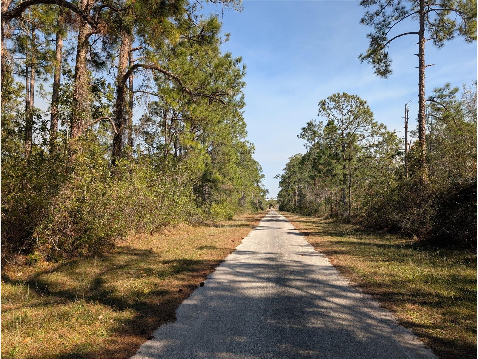 220 Pandora Drive Indian Lake Estates FL 33855 - LAKE WALK IN WATER P4937705 image1