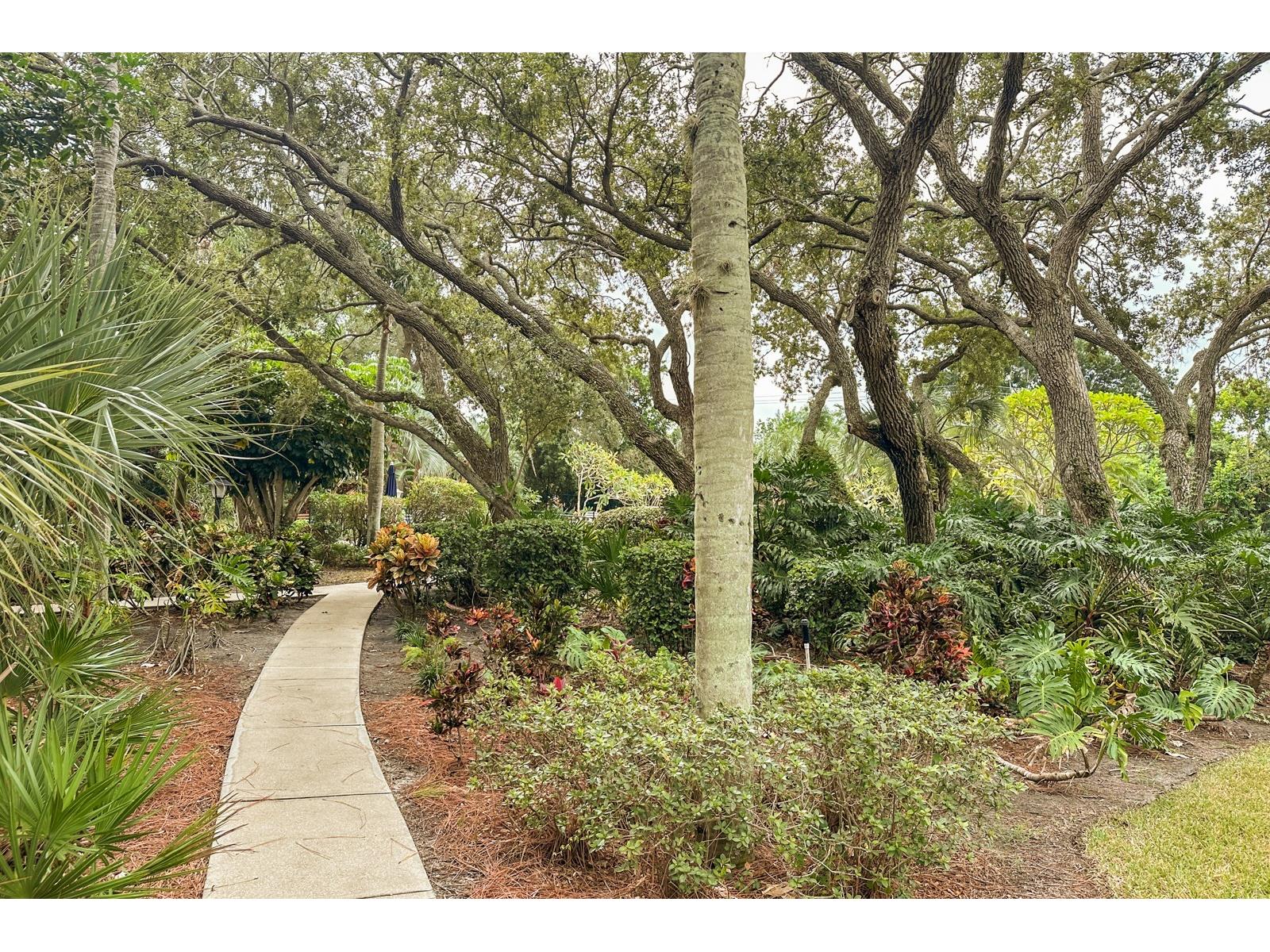 220 Pineneedle Drive #220 Bradenton FL 34210 TB8459320 image23