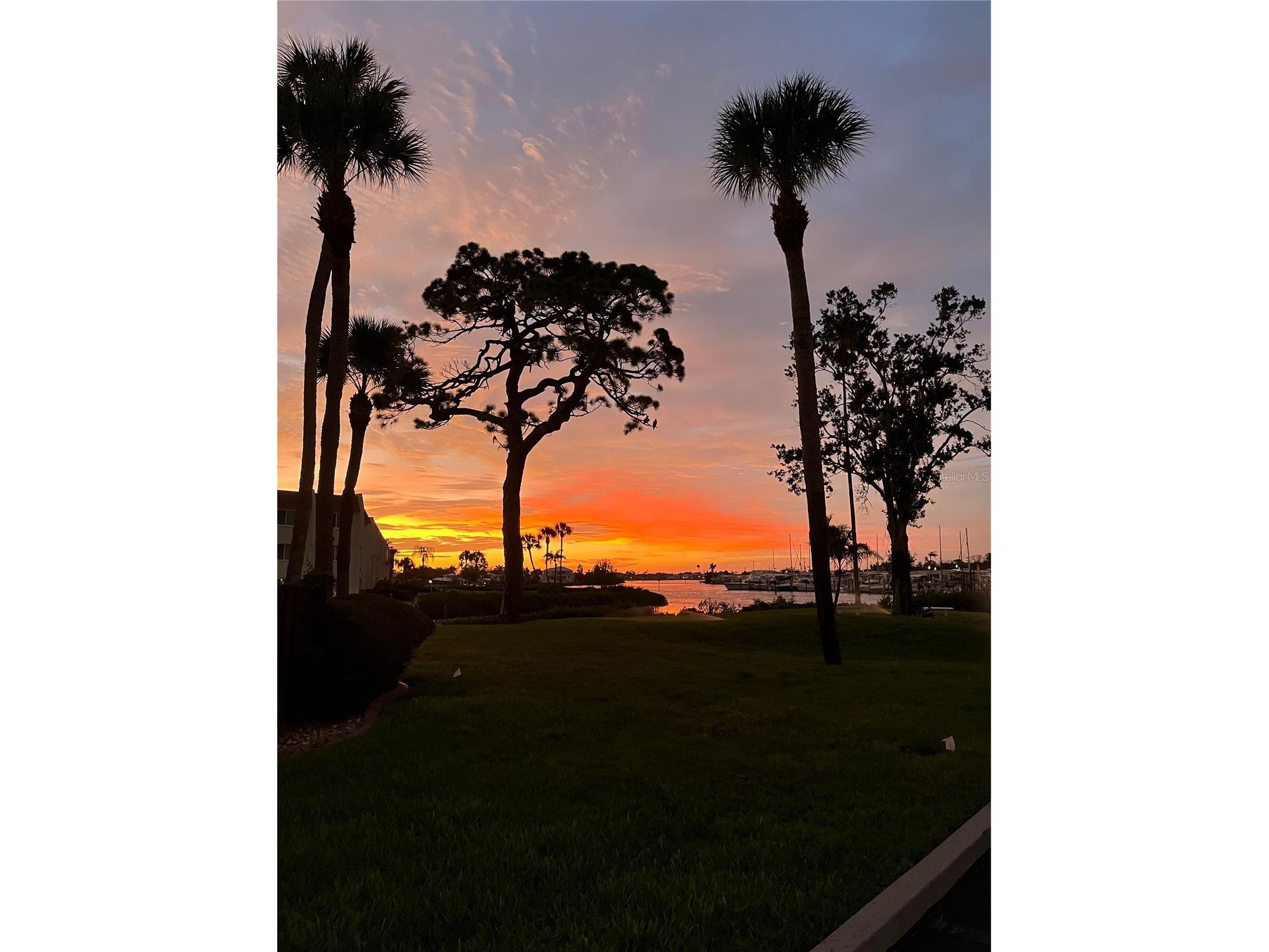 220 Santa Maria Street #338 Venice FL 34285 A4699490 image51
