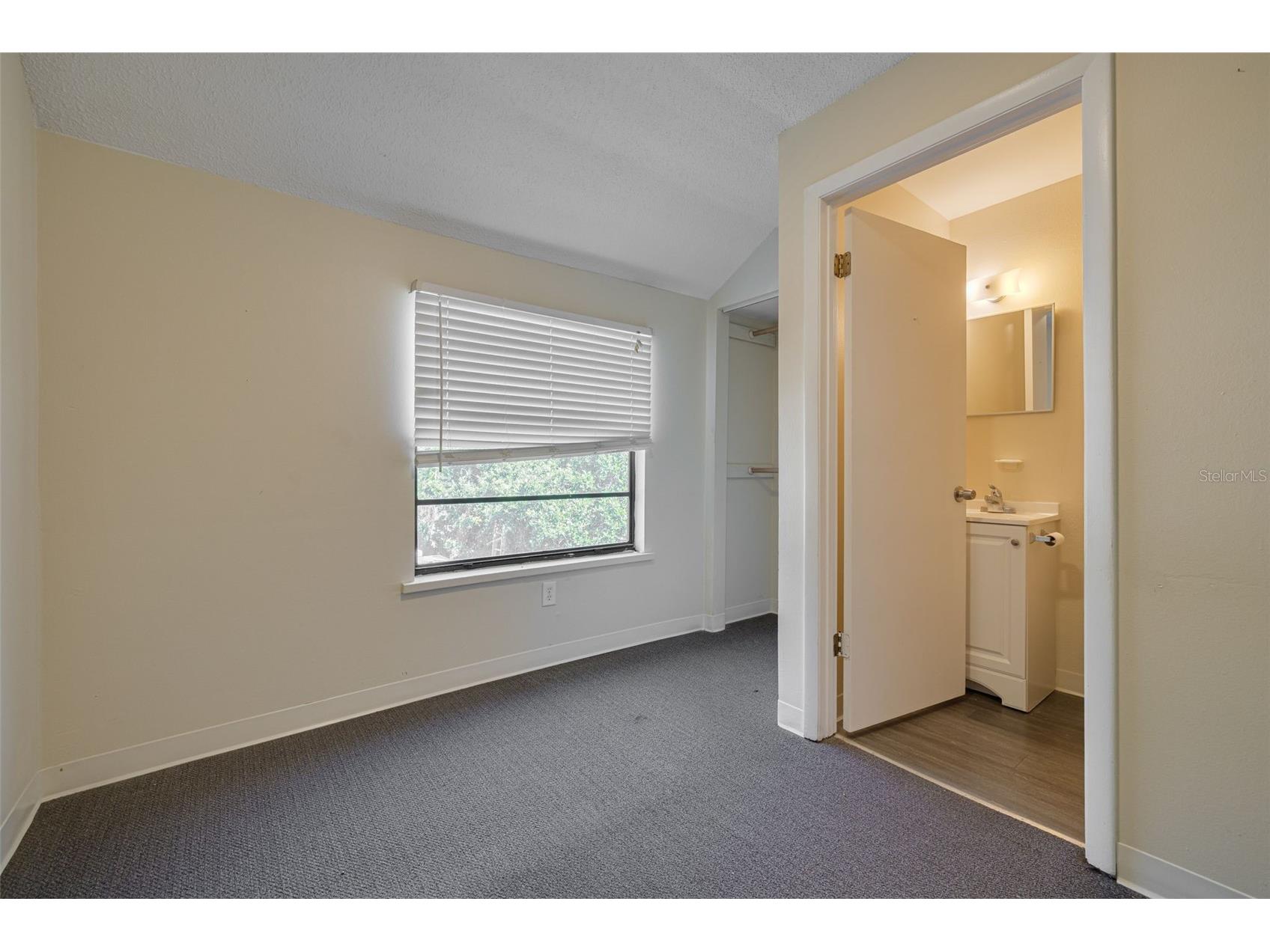 220 Scotland Street Dunedin FL 34698 TB8464121 image34