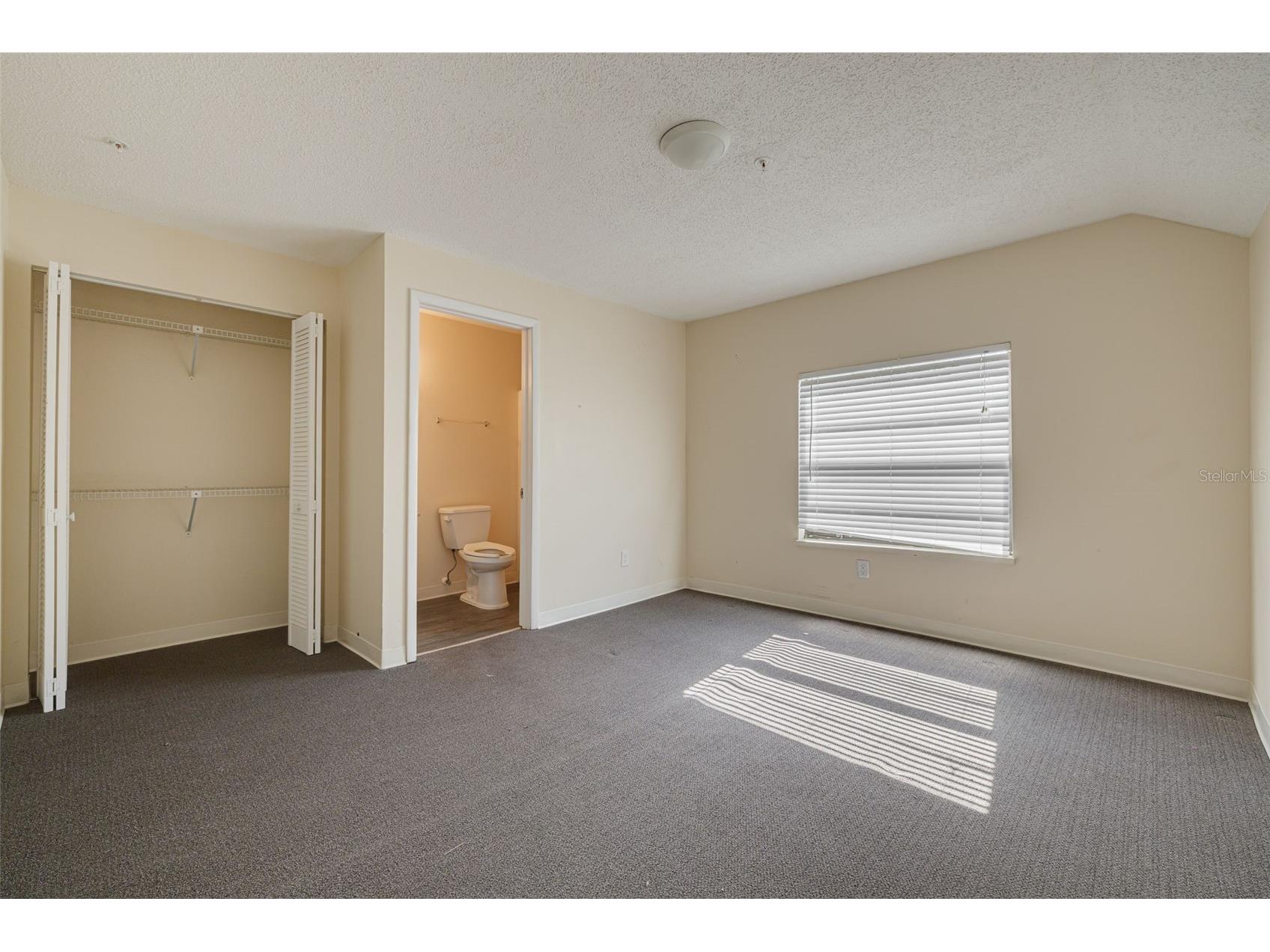 220 Scotland Street Dunedin FL 34698 TB8464152 image26