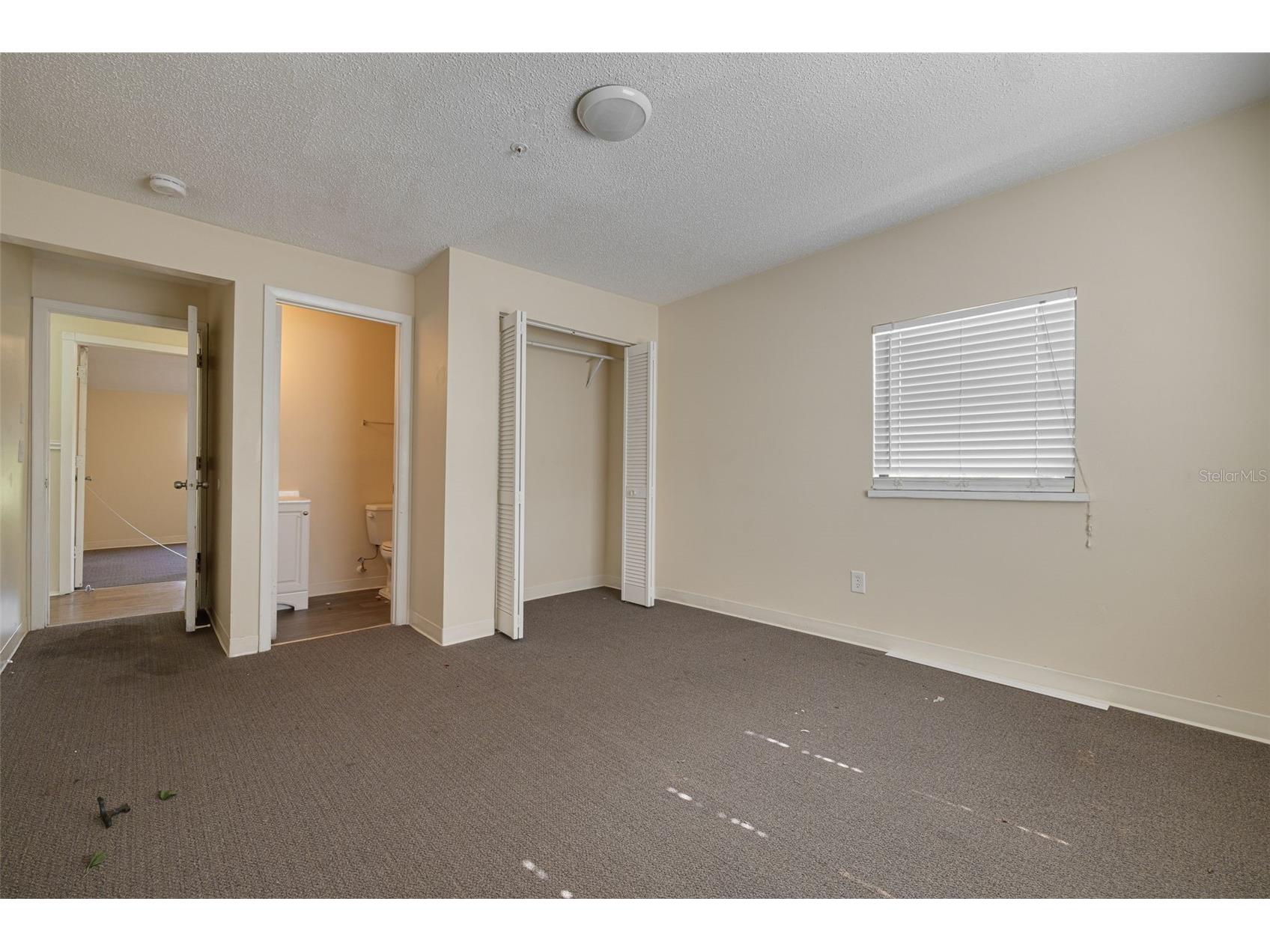 220 Scotland Street Dunedin FL 34698 TB8464152 image35