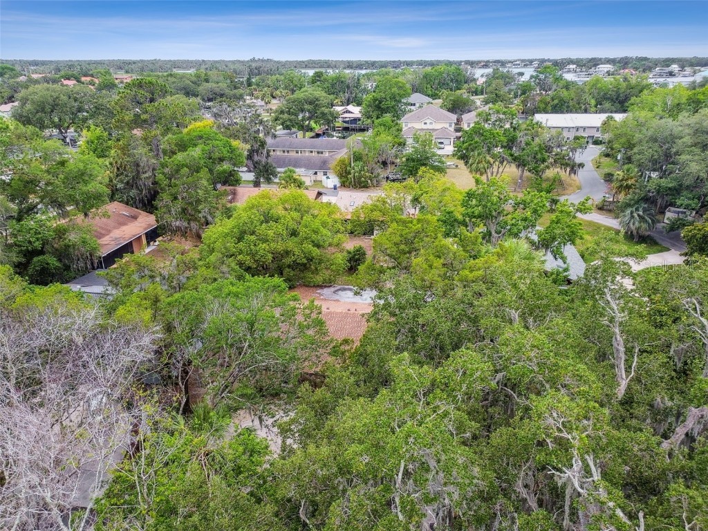 220 SE Valare Lane Crystal River FL 34429 TB8397846 image50