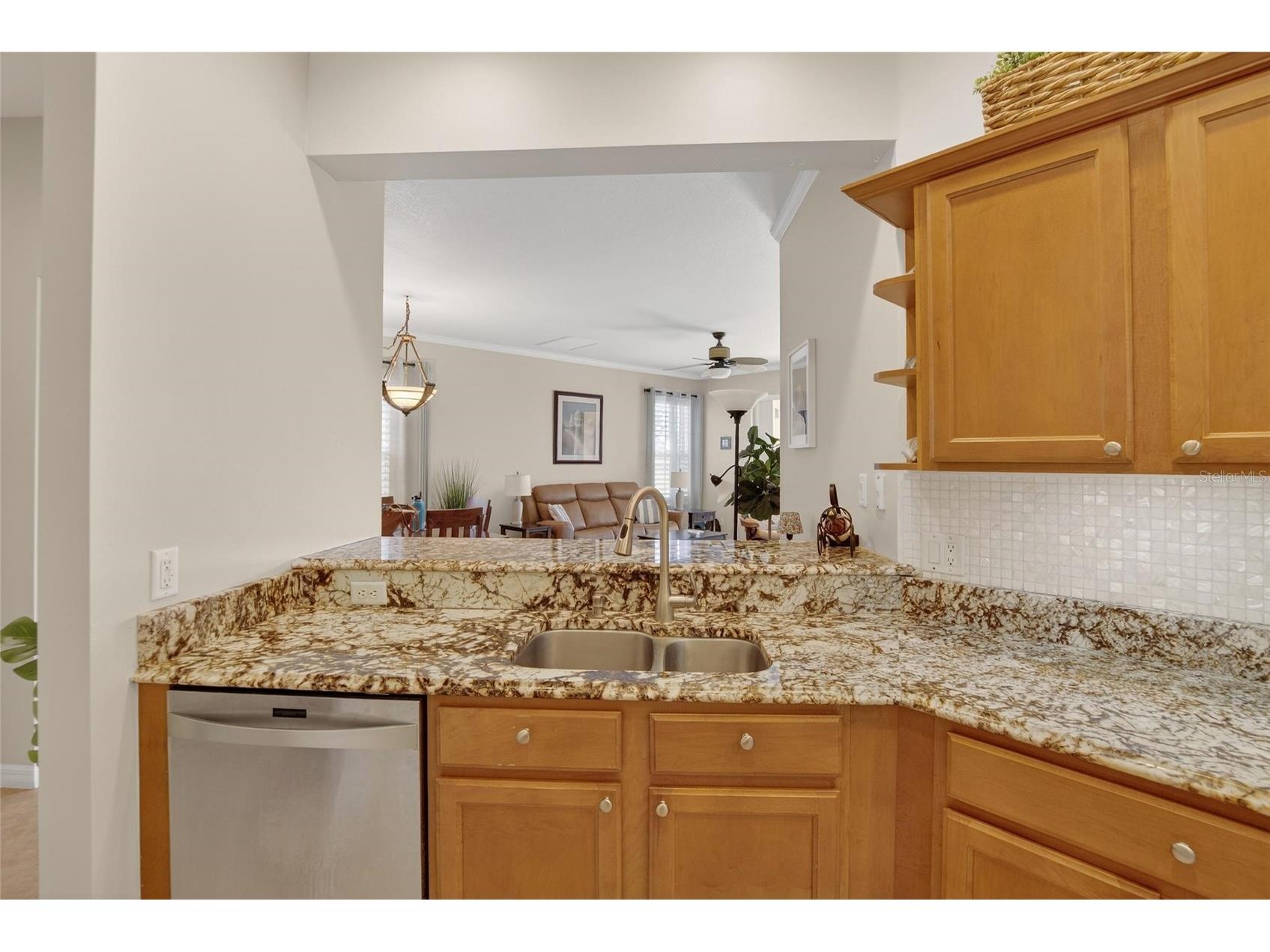 220 Shell Falls Drive Apollo Beach FL 33572 TB8470363 image13