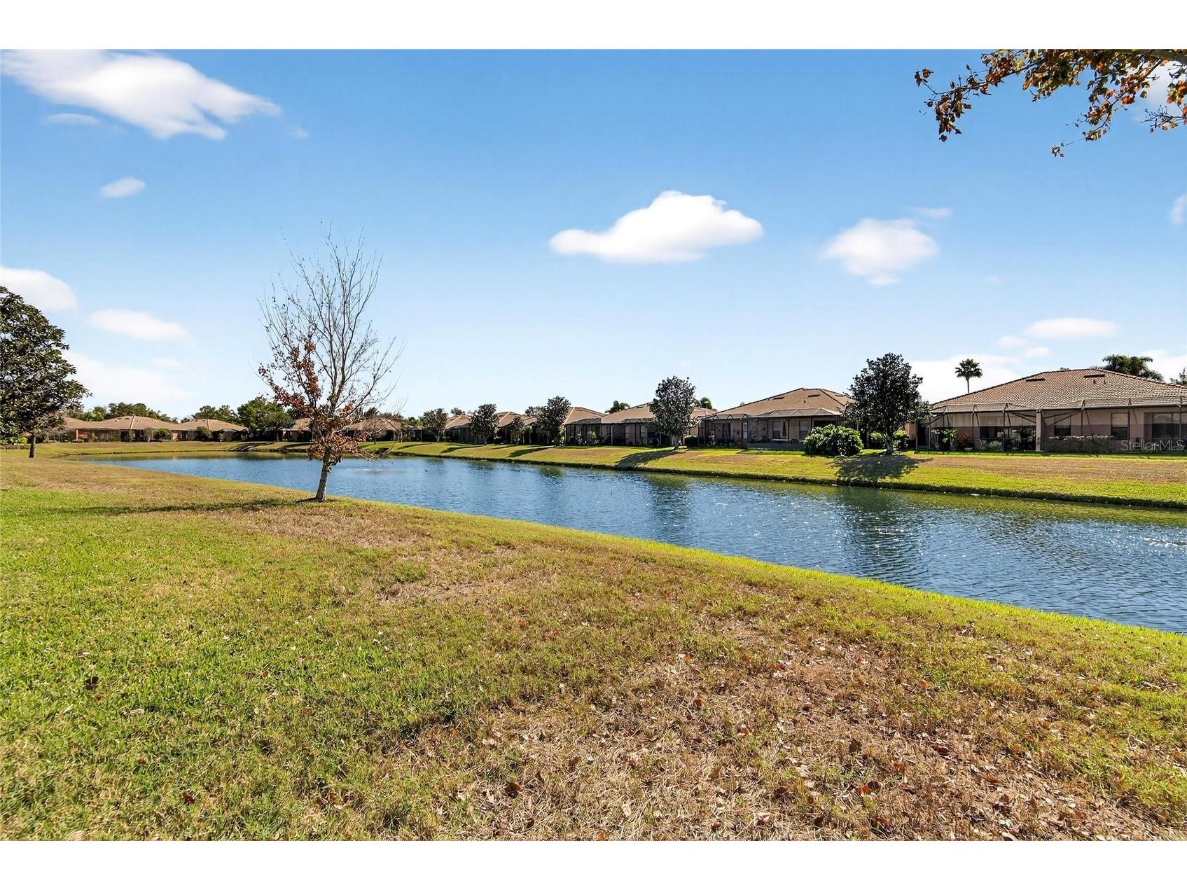 220 Shell Falls Drive Apollo Beach FL 33572 TB8470363 image41