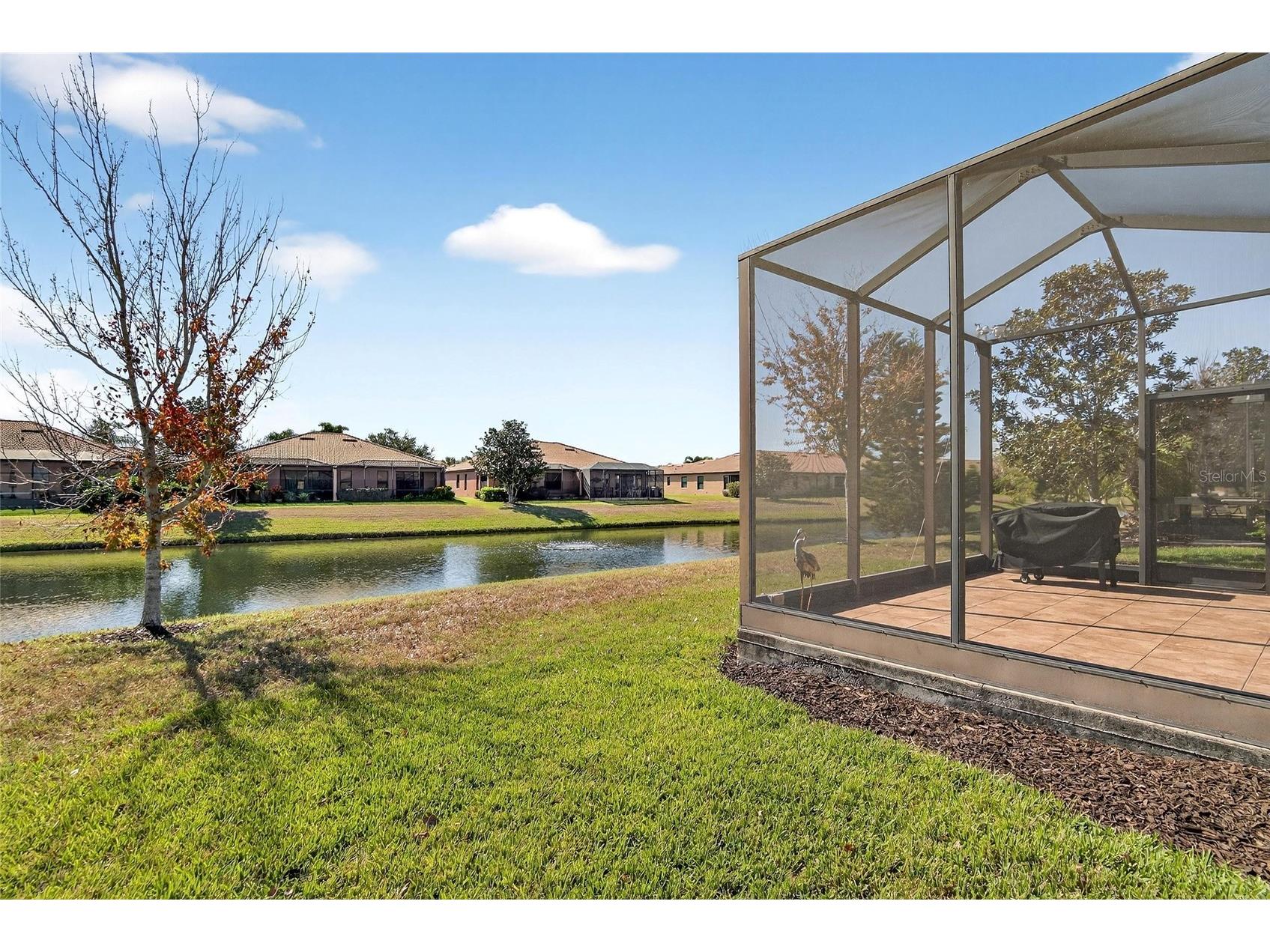 220 Shell Falls Drive Apollo Beach FL 33572 TB8470363 image46