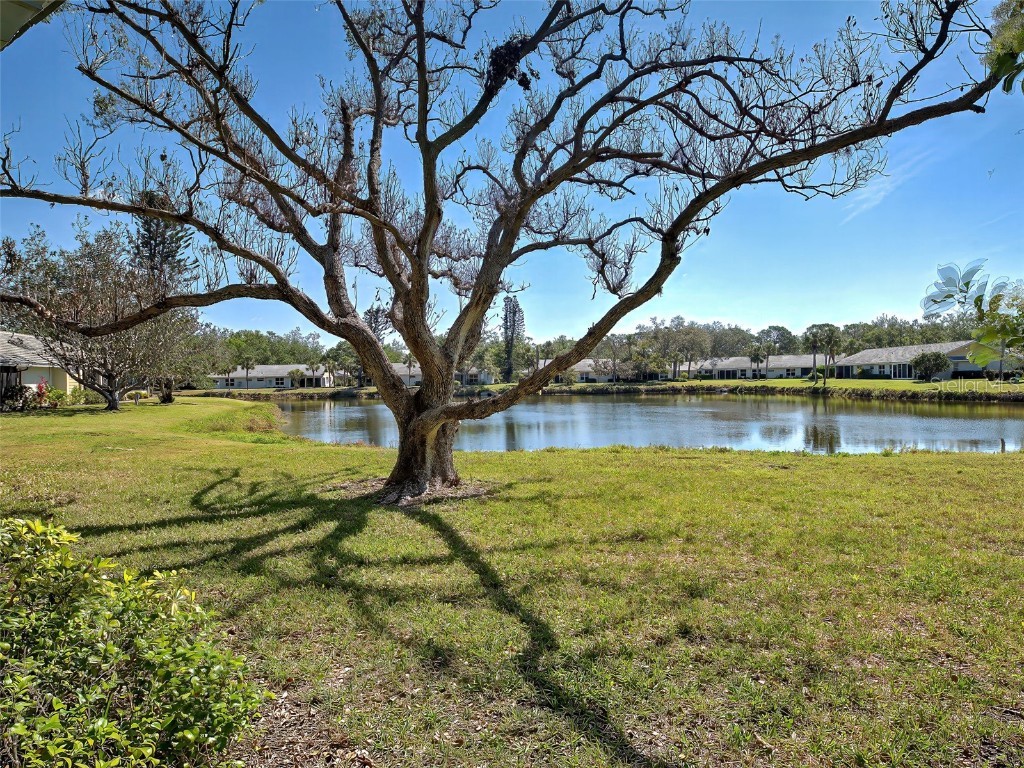 220 Southampton Drive #325 Venice FL 34293 D6143883 image4