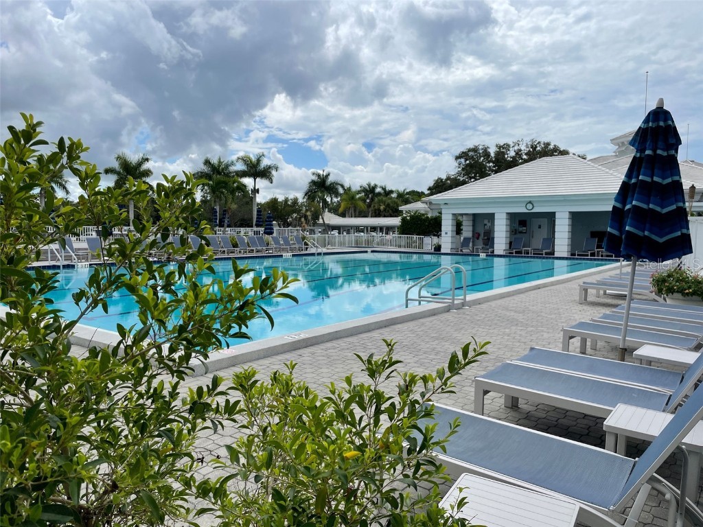 220 Southampton Drive #325 Venice FL 34293 D6143883 image42