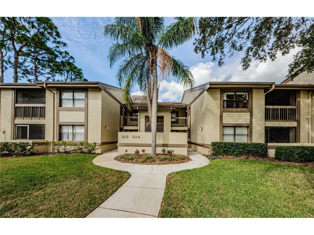 220 Woodlake Wynde #220 Oldsmar FL 34677 TB8319285 image1