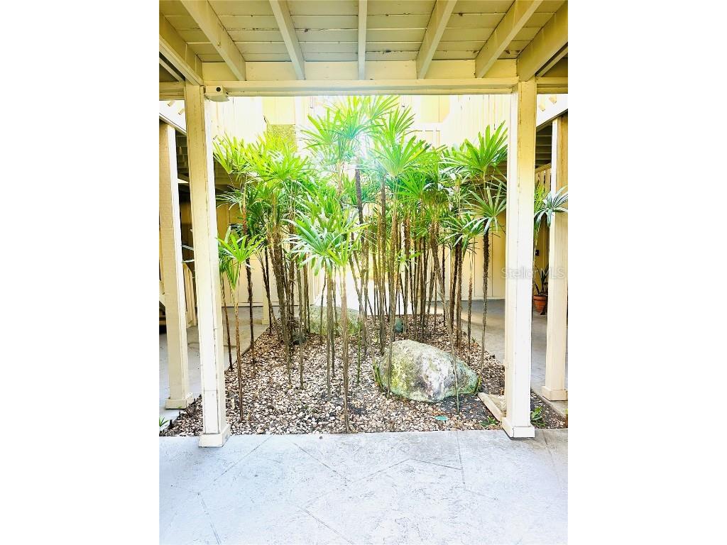 2200 Bahia Vista St #B3 Sarasota FL 34239 A4675118 image2