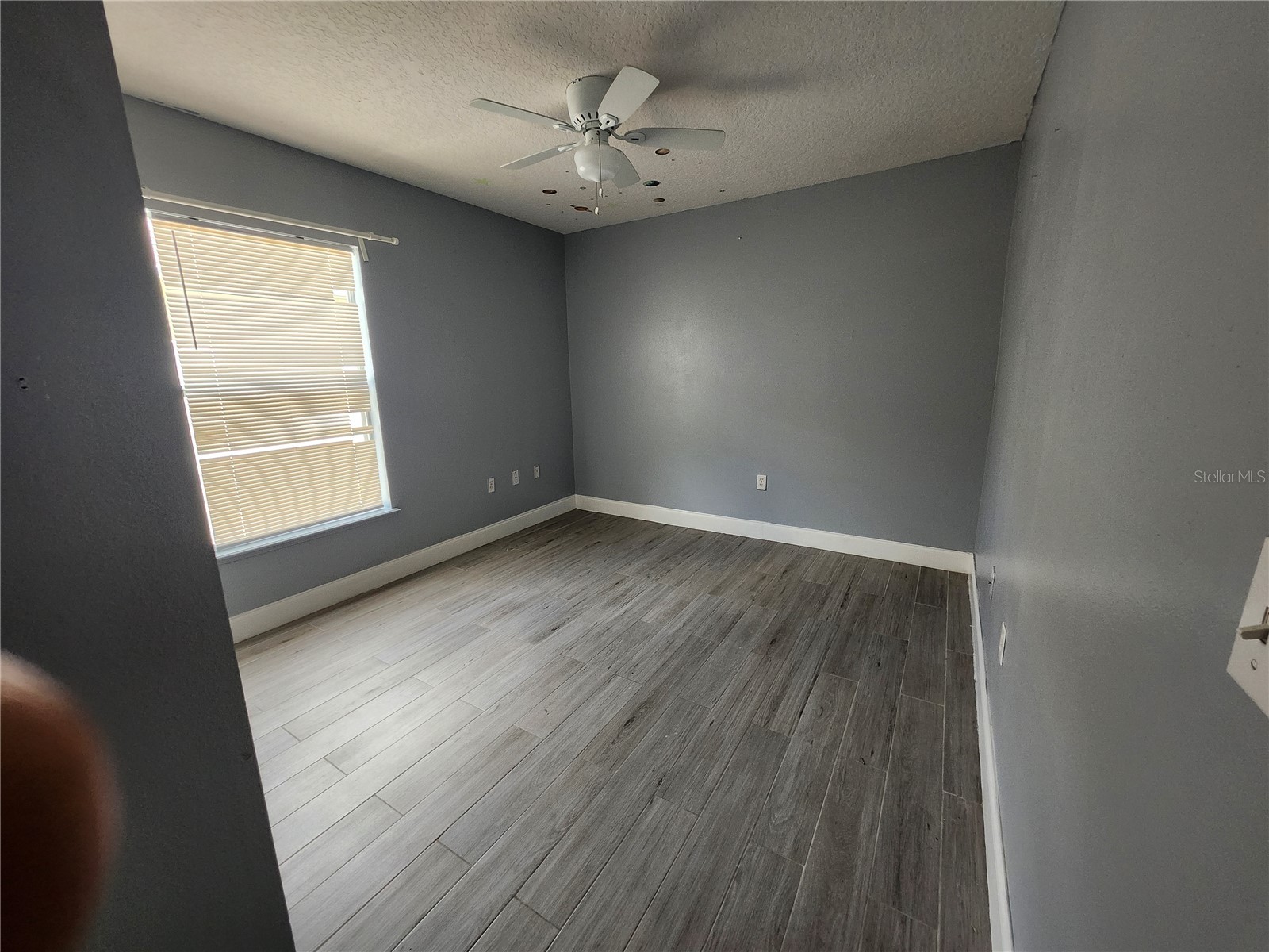 2200 El Marra Drive Ocoee FL 34761 O6411469 image15