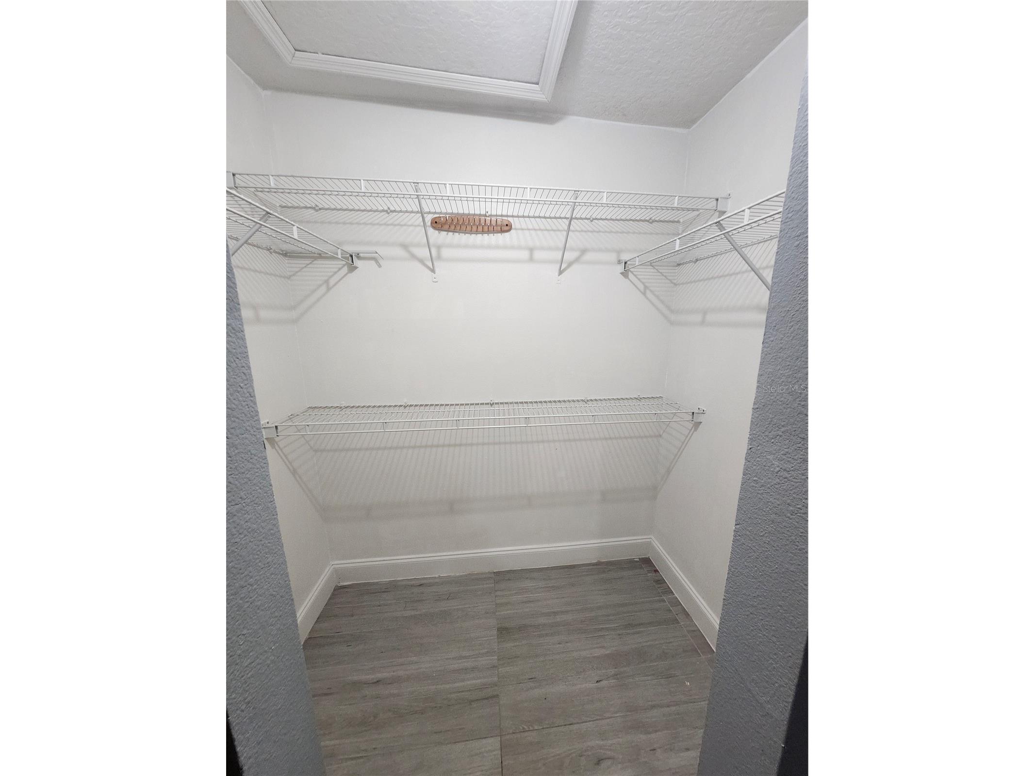 2200 El Marra Drive Ocoee FL 34761 O6411469 image5