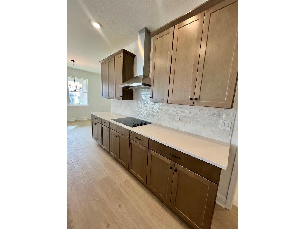 2200 Keystone Pass Pass Minneola FL 34715 G5105663 image3