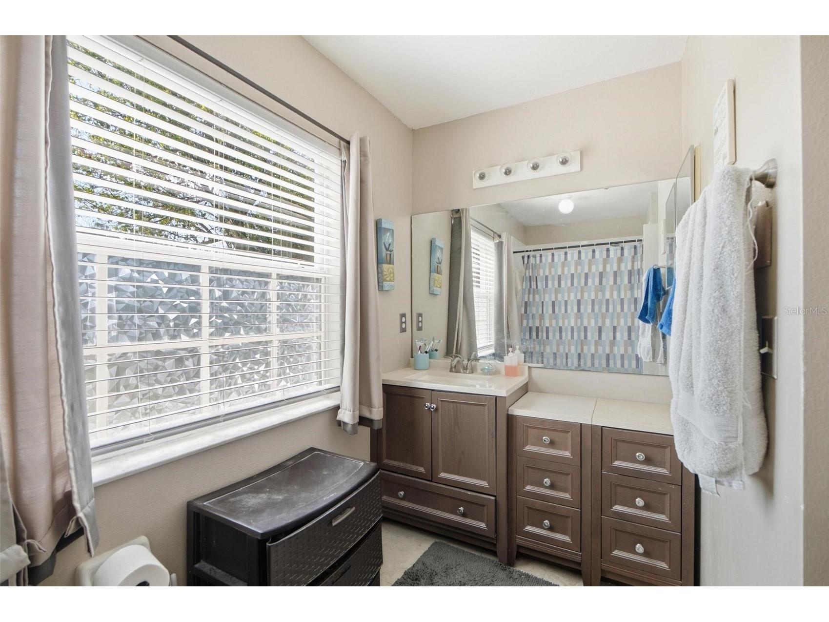 2200 Rose Brook Court Orlando FL 32817 O6416693 image38