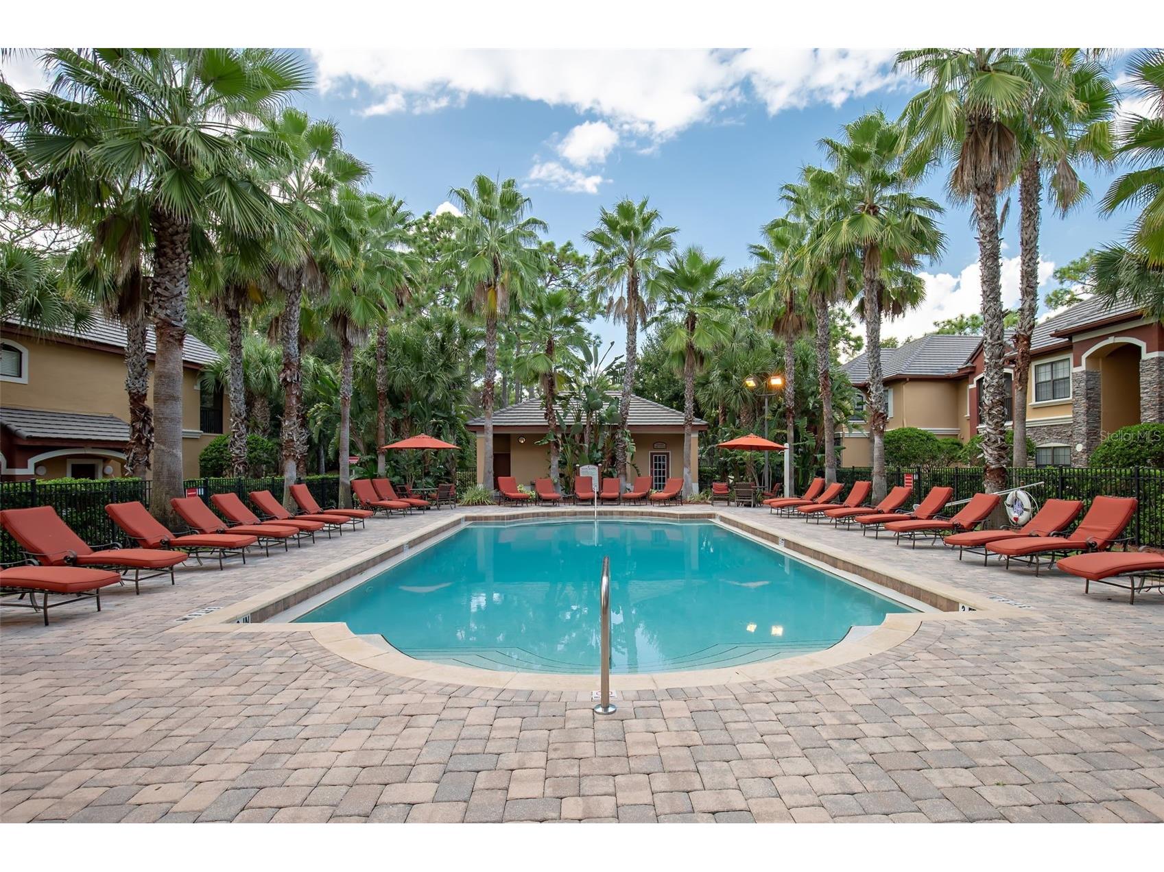 2200 Tuscany Trace #15 Palm Harbor FL 34683 TB8491415 image12