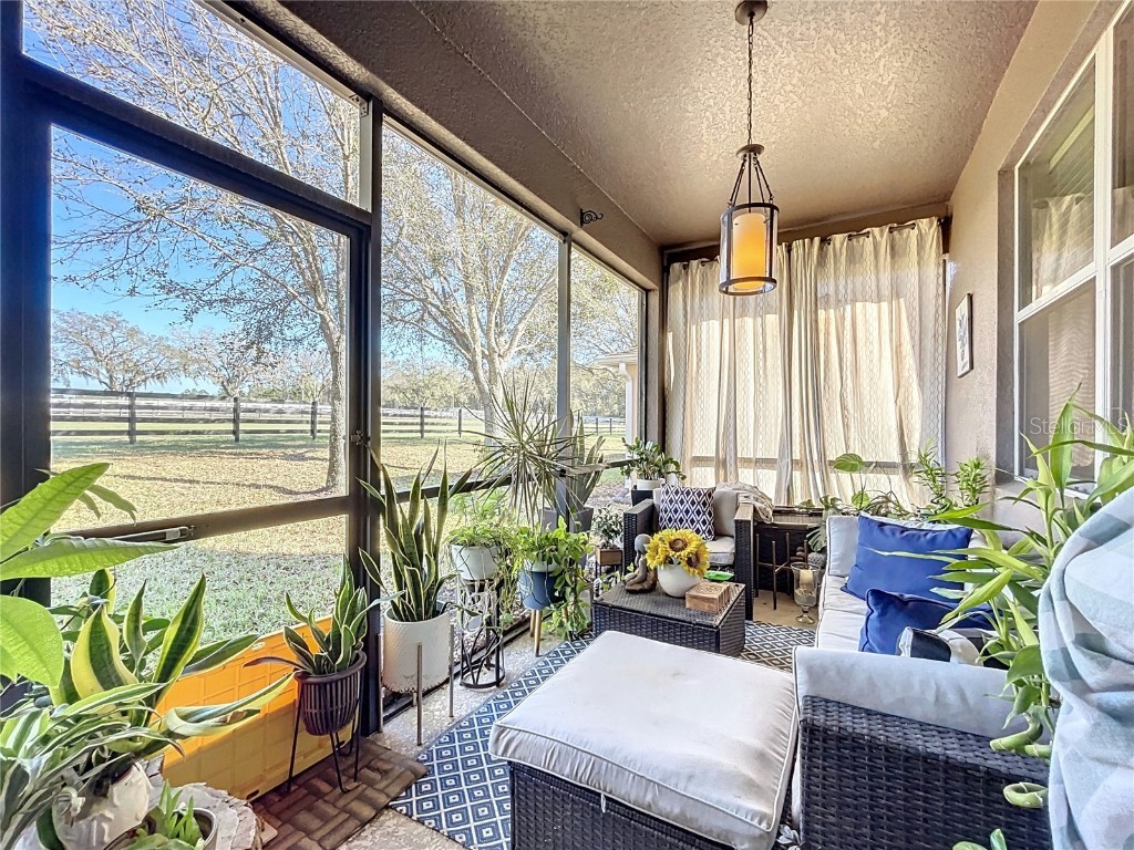 22004 Belgian Court Mount Dora FL 32757 W7872180 image32