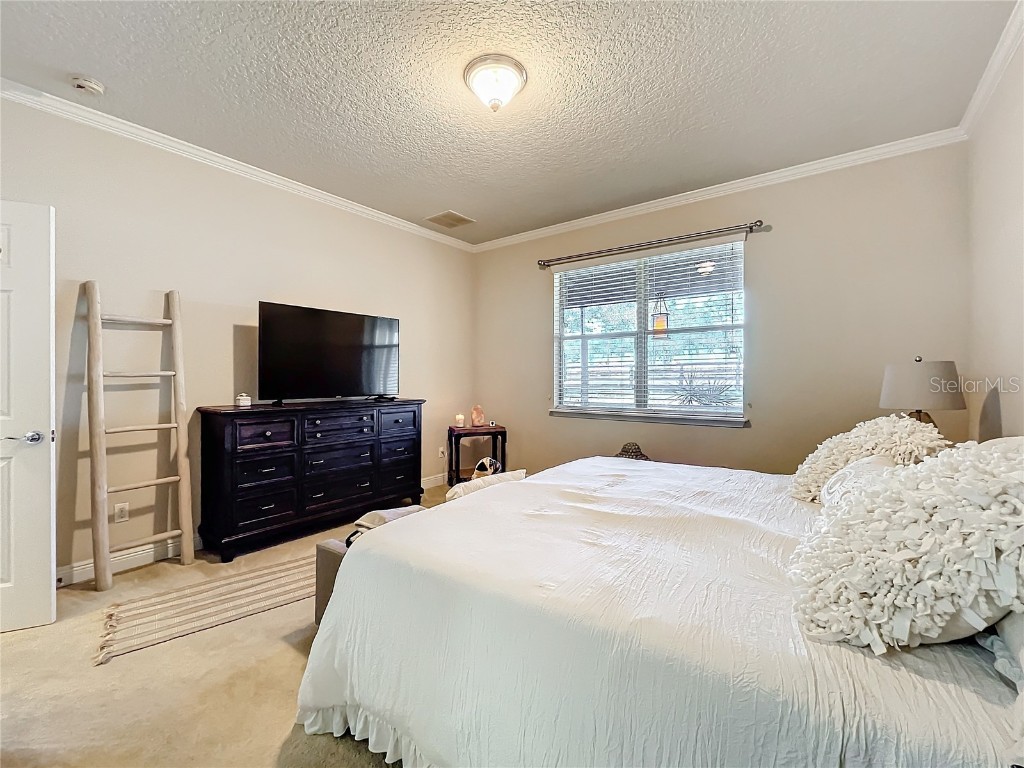 22004 Belgian Court Mount Dora FL 32757 W7872180 image47