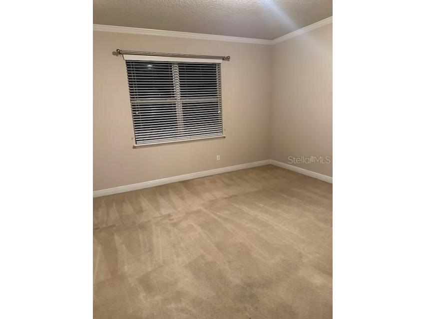 22004 Belgian Court Mount Dora FL 32757 W7872180 image49