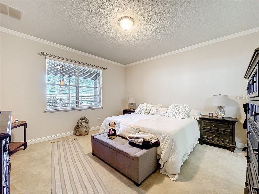 22004 Belgian Court Mount Dora FL 32757 W7872180 image6