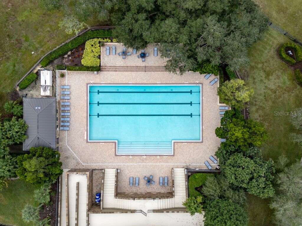 22004 Belgian Court Mount Dora FL 32757 W7872180 image62