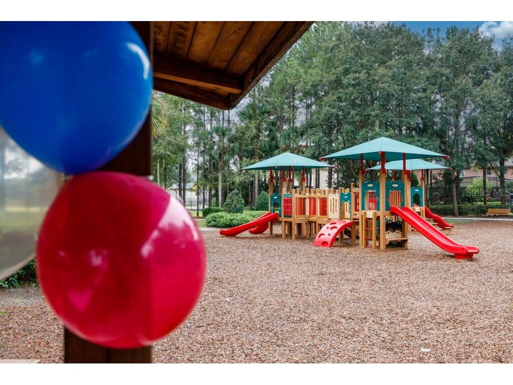 22004 Belgian Court Mount Dora FL 32757 W7872180 image64