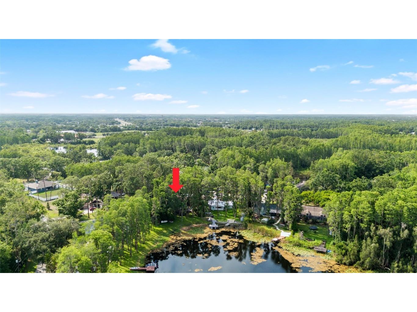 22004 Dupree Drive Land O Lakes FL 34639 TB8388665 image1