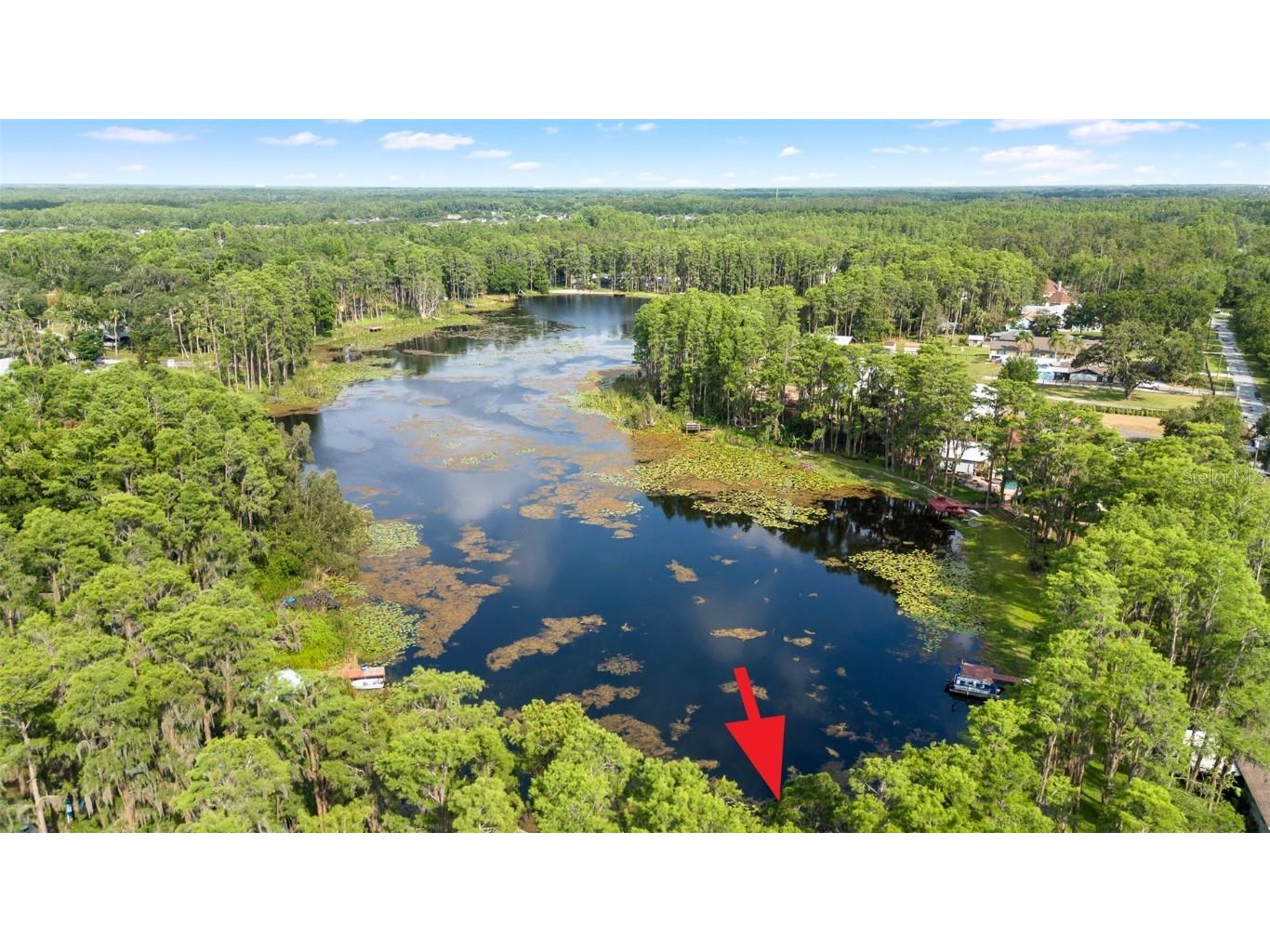 22004 Dupree Drive Land O Lakes FL 34639 TB8388665 image3