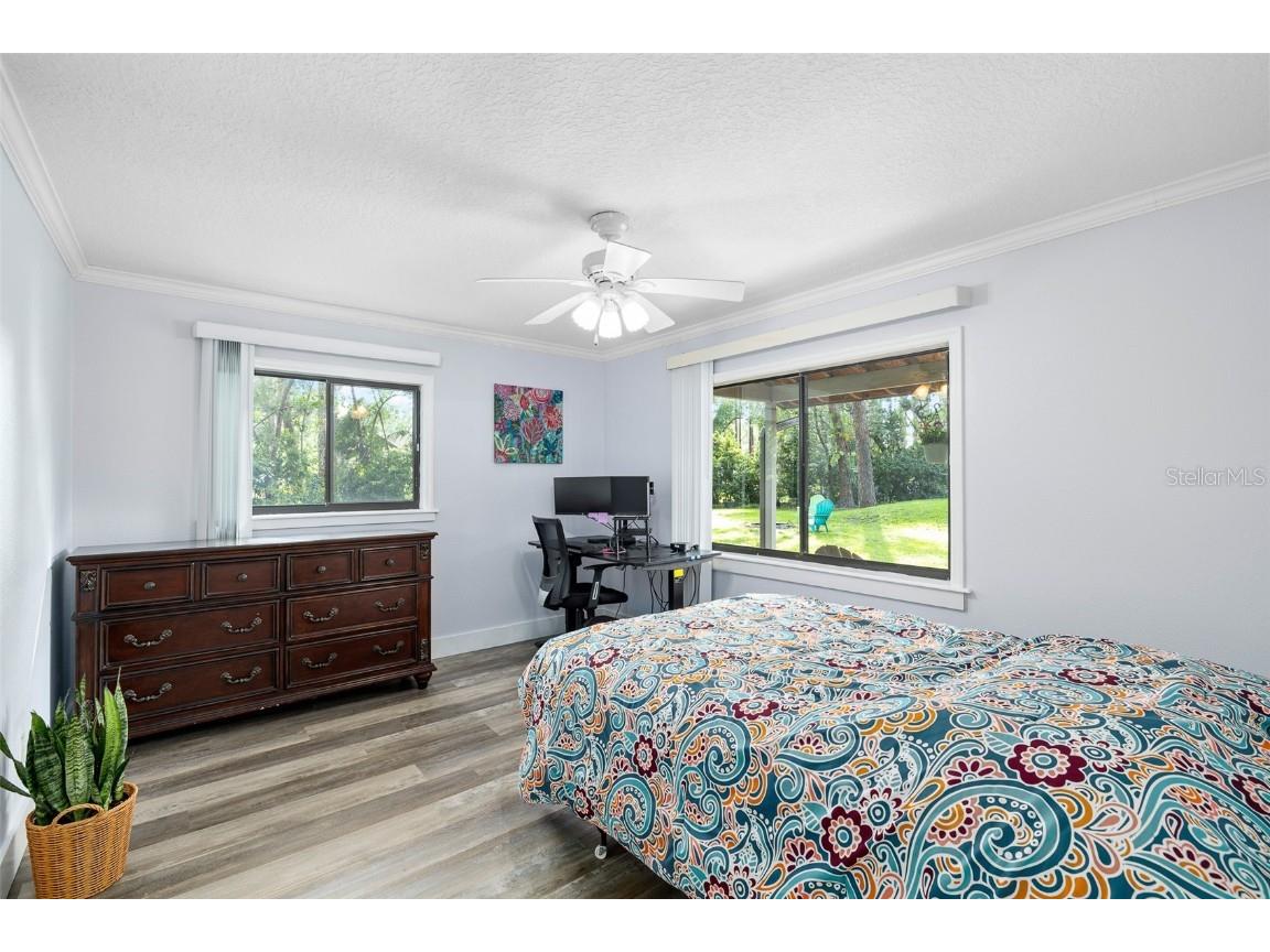 22004 Dupree Drive Land O Lakes FL 34639 TB8388665 image34