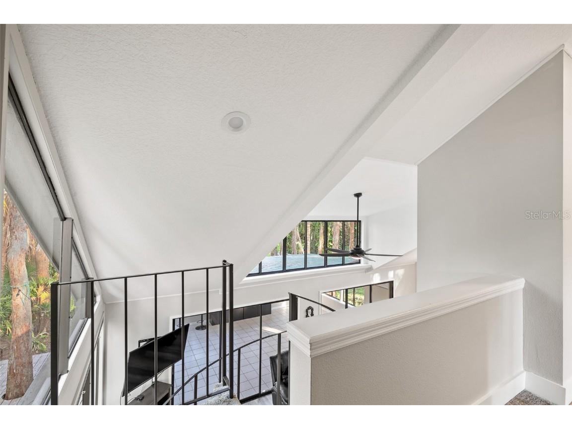 22004 Dupree Drive Land O Lakes FL 34639 TB8388665 image39