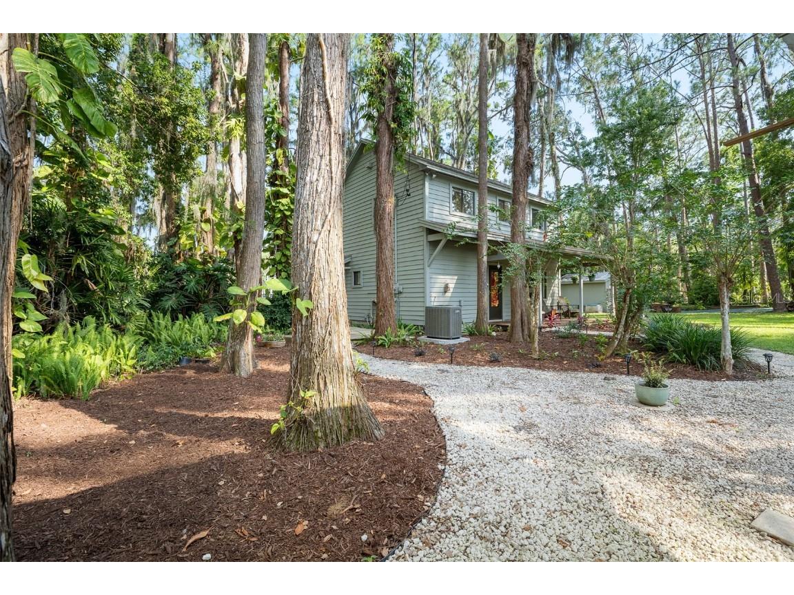 22004 Dupree Drive Land O Lakes FL 34639 TB8388665 image4