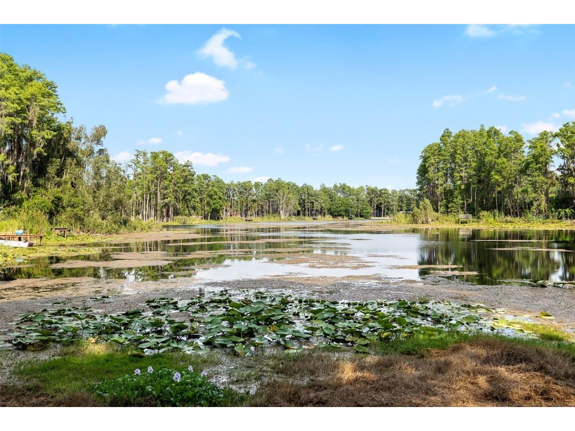 22004 Dupree Drive Land O Lakes FL 34639 TB8388665 image52