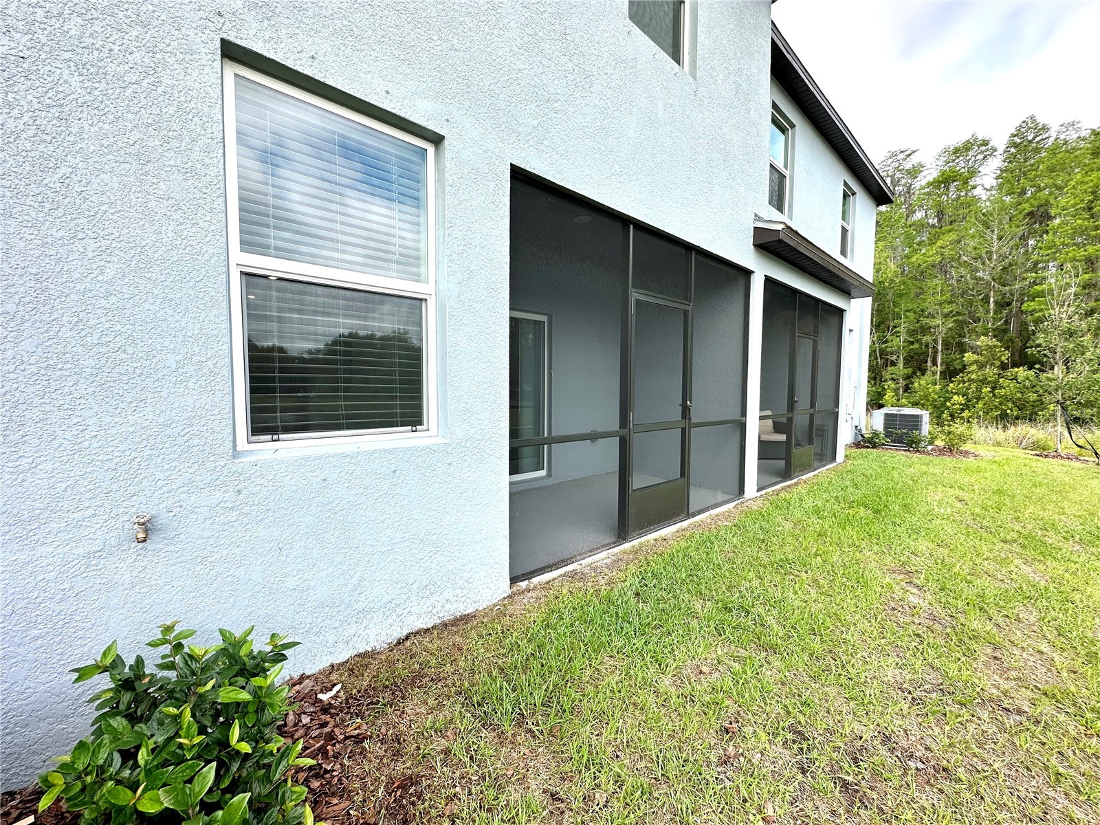 2201 Cerulean Sky Drive Lutz FL 33558 TB8491104 image5