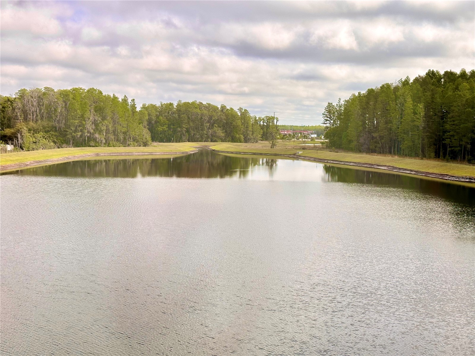 2201 Cerulean Sky Drive Lutz FL 33558 TB8491104 image6