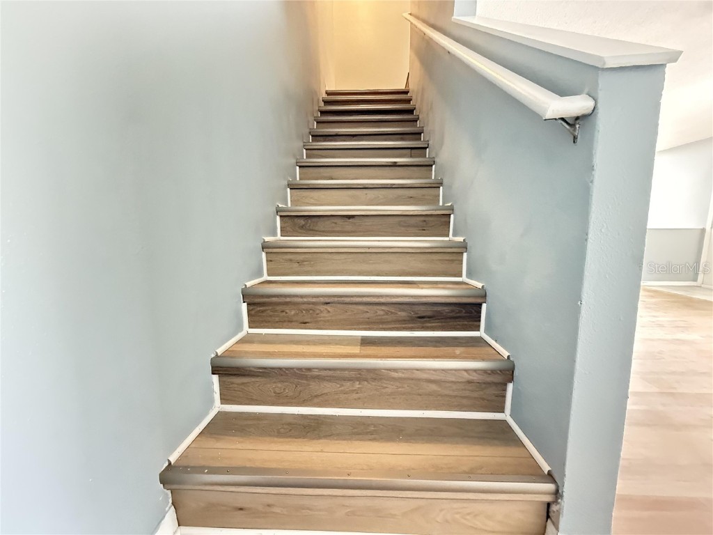 2201 Fluorshire Drive Brandon FL 33511 TB8436063 image16