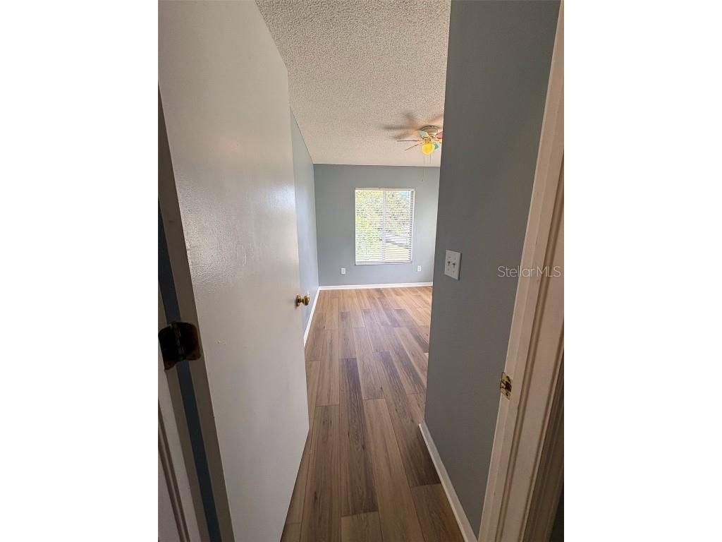 2201 Fluorshire Drive Brandon FL 33511 TB8436063 image19