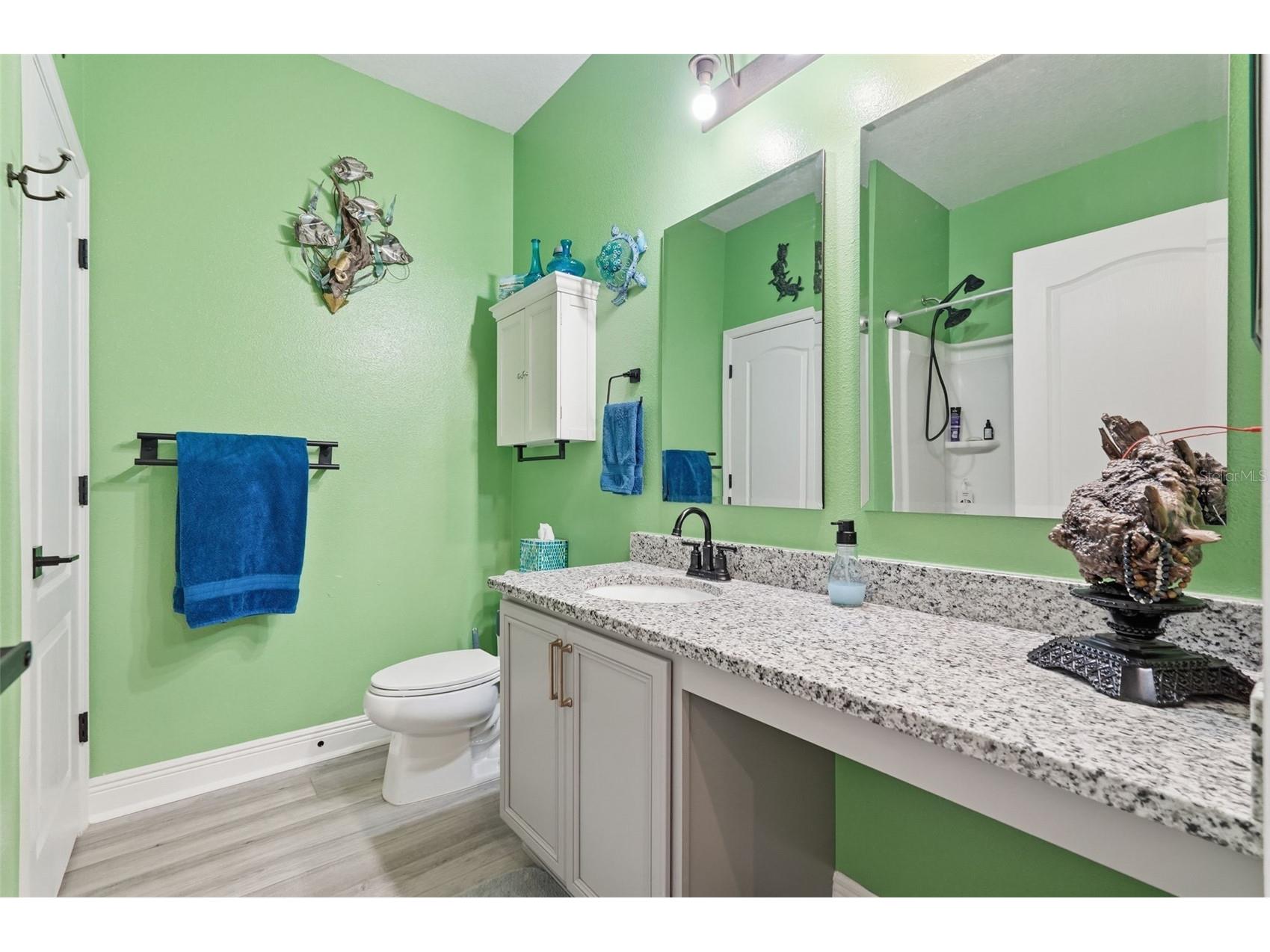 2201 Gladiolus Ln Lane Mascotte FL 34753 TB8465859 image27