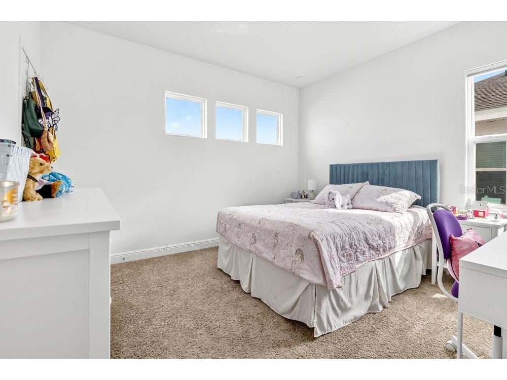 2201 Juniper Berry Drive Minneola FL 34715 O6353905 image11