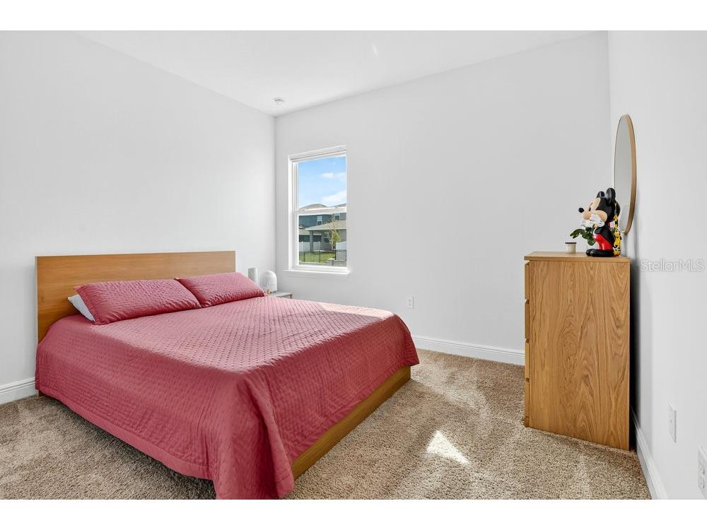 2201 Juniper Berry Drive Minneola FL 34715 O6353905 image9