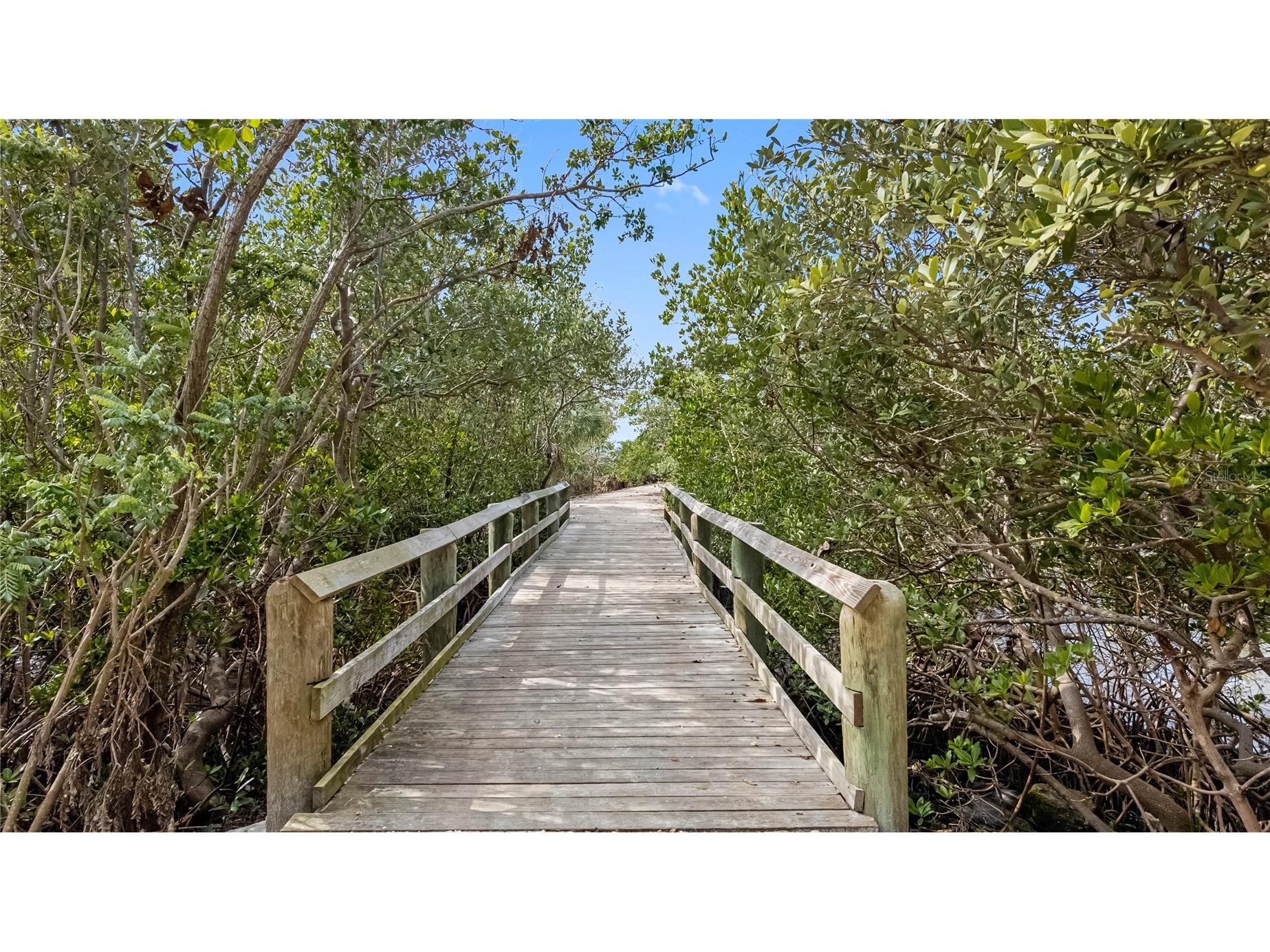 2201 Park Street N Saint Petersburg FL 33710 TB8337346 image45