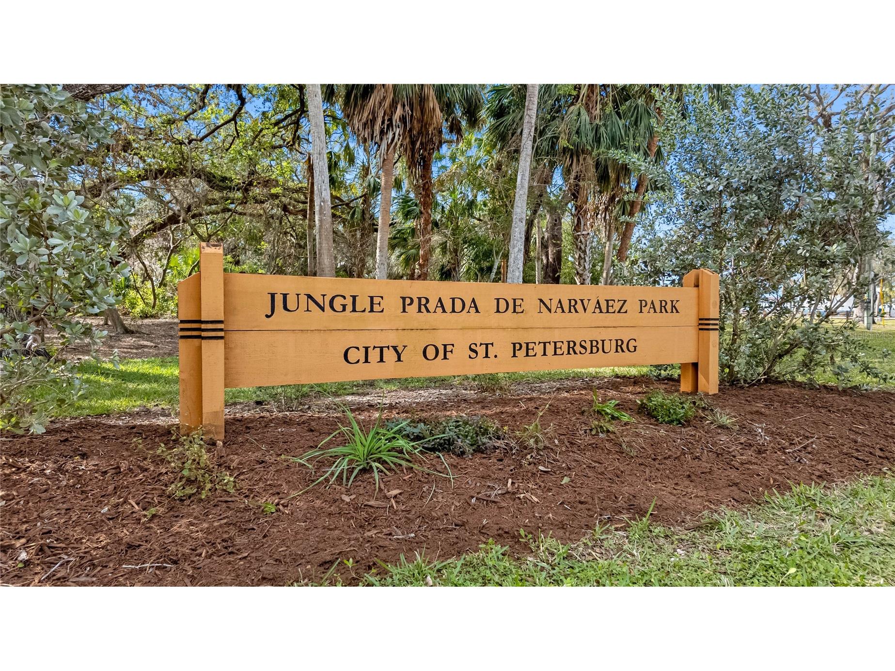 2201 Park Street N Saint Petersburg FL 33710 TB8337346 image54