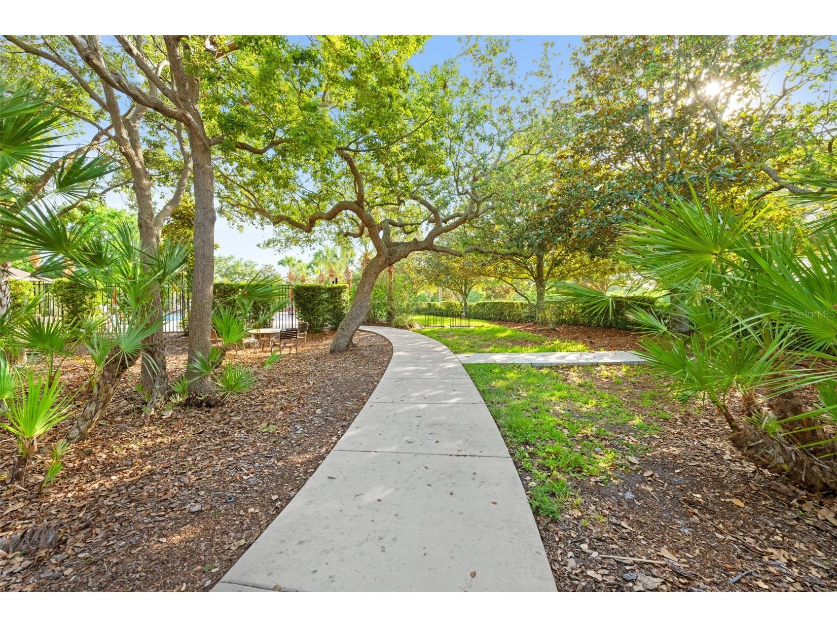 2201 Parrot Fish Drive Holiday FL 34691 TB8511074 image51