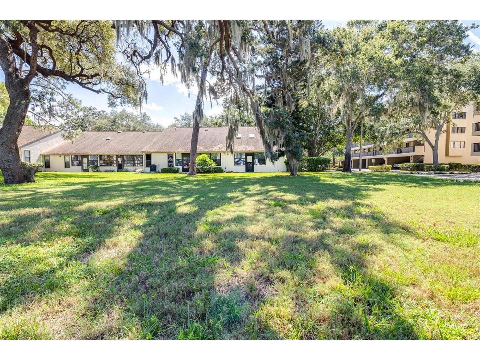 2201 Pine Drive Tarpon Springs FL 34689 TB8496087 image1