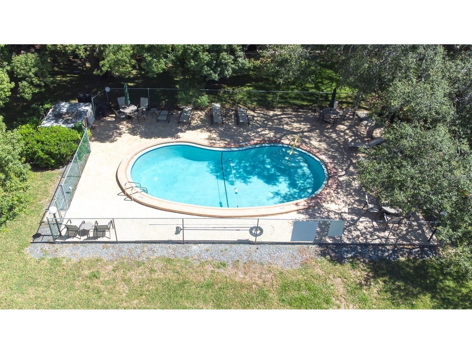 2201 Pine Drive Tarpon Springs FL 34689 TB8496087 image31