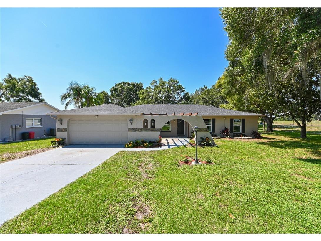 2201 Summit View Drive Valrico FL 33596 T3444306 image1