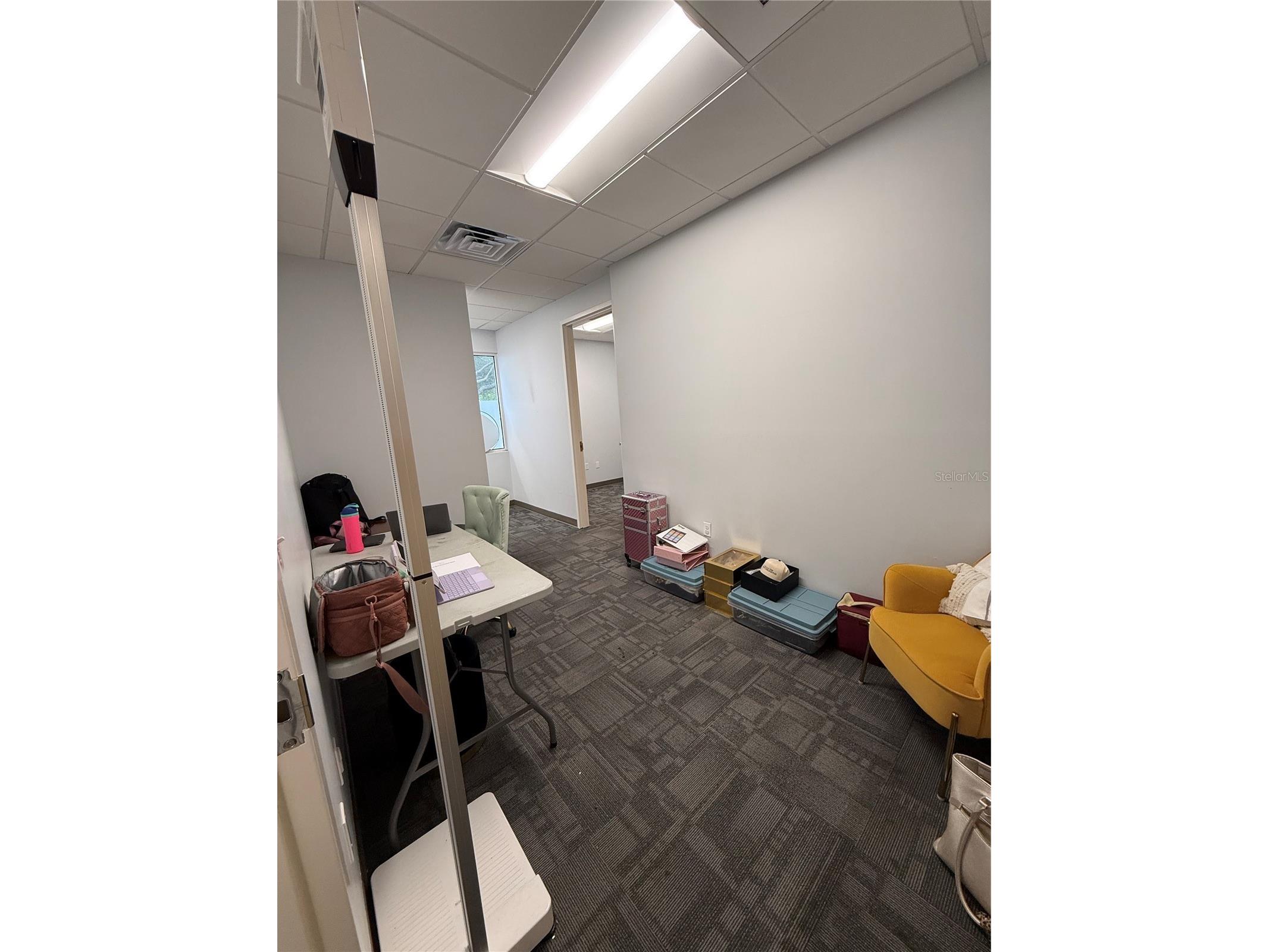 2201 W Swann Avenue Tampa FL 33606 TB8503910 image5
