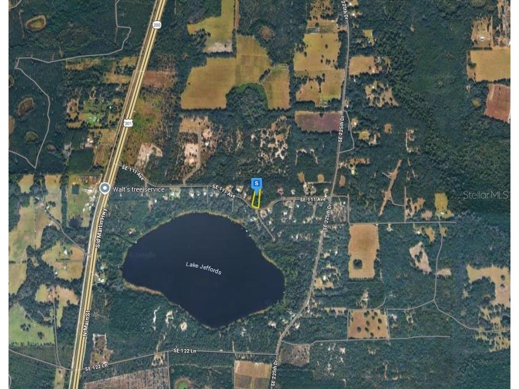 22010 SE 111 Ave Hawthorne FL 32640 A4698429 image2