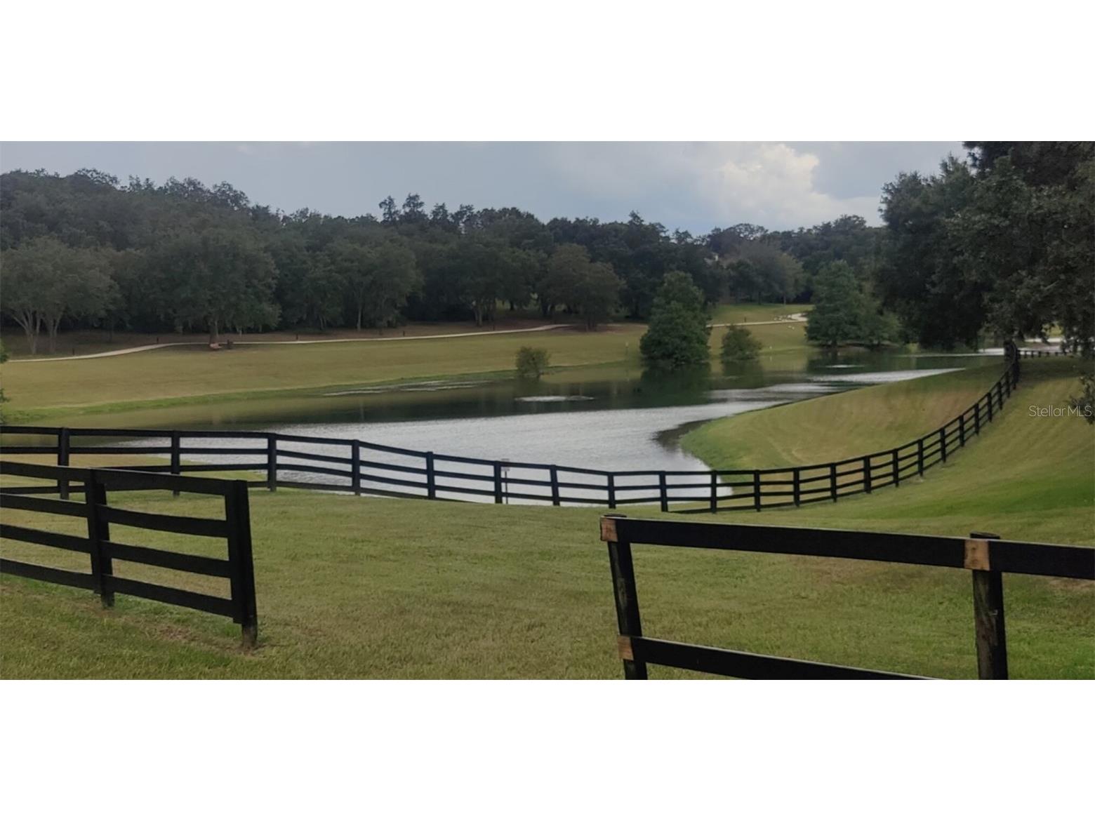 22011 Belgian Court Mount Dora FL 32757 A4659996 image2