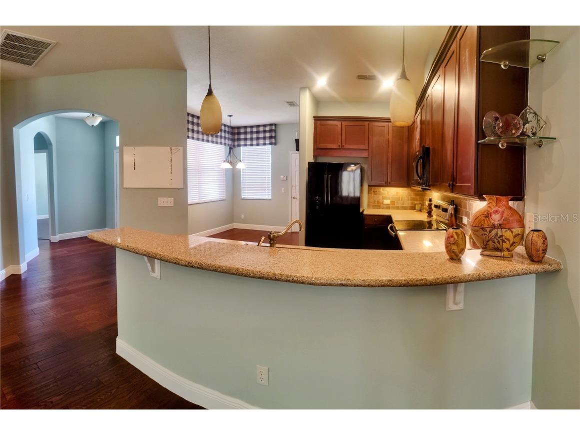 22011 Belgian Court Mount Dora FL 32757 A4659996 image26