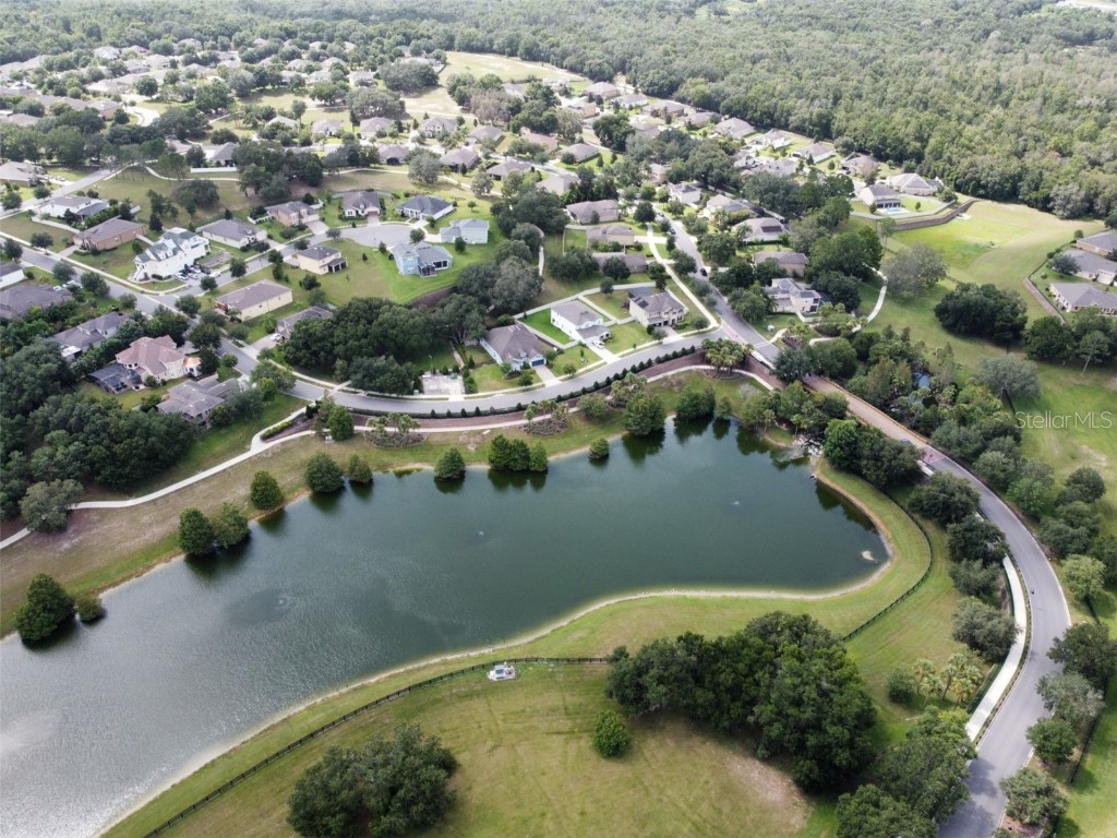 22011 Belgian Court Mount Dora FL 32757 A4659996 image3