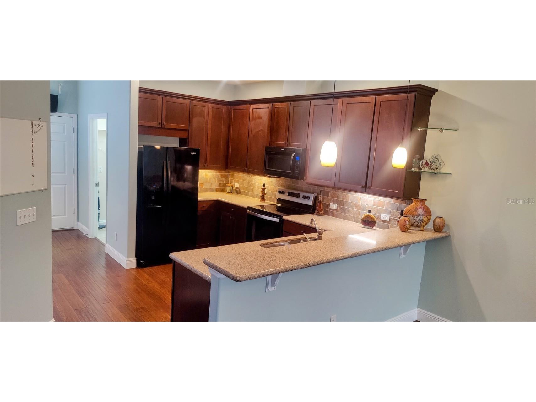 22011 Belgian Court Mount Dora FL 32757 A4659996 image32